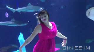 (63 Building Mermaid Show) Women Swim in Tank with Manta Rays and Sharks - 4K