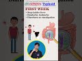 Typhoid causes | Typhoid symptoms | Typhoid treatment | Typhoid short