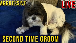 I Groom All Aggressive Dogs