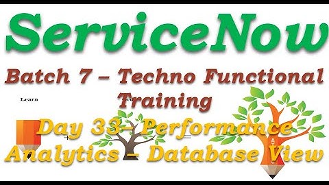 Batch 7 || Day 33 ||Performance Analytics and Database View||Techno Functional Training || San Diego