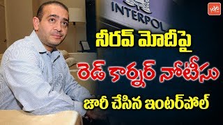 Interpol Issues Red Corner Notice Against Nirav Modi | PNB Fraud | YOYO TV Channel