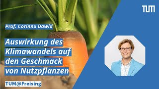 TUM@Freising: Auswirkung des Klimawandels auf den Geschmack von Nutzpflanzen