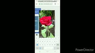 How to upload Exam Answers through MyCamu App. screenshot 1