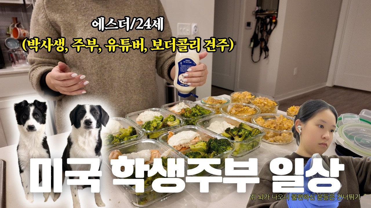 [🇺🇸] 24시간이 모자라는 박사생+보더콜리견주+주부+유튜버의 대충 일상 | 연어 도시락 메뉴 추천 | 홀푸즈, 트조 장보기
