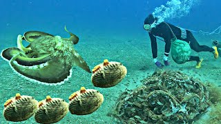 Diving in a New Sea Area and Finding Valuable Seafood to Earn Money for Our Family