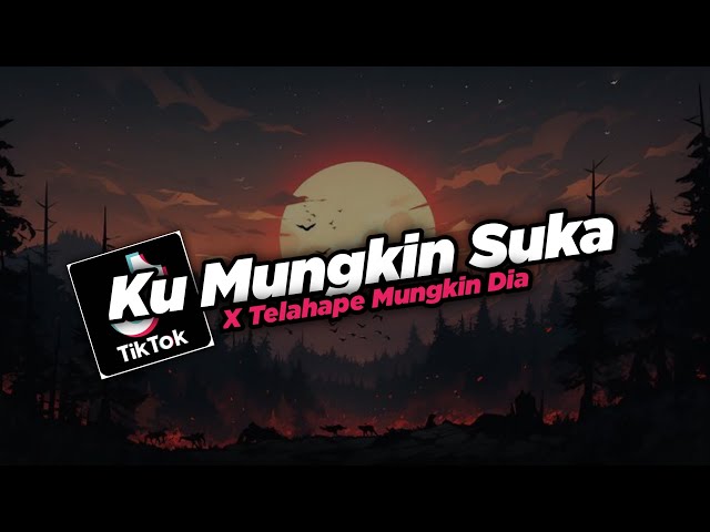 DJ Ku Mungkin Suka Padamu X Telahape Mungkin Dia Viral TikTok 2024!! - By Sahrul Ckn class=