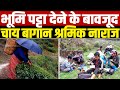 भूमि पट्टा देने के बावजूद सीएम ममता से दार्जिलिंग के चाय बागान श्रमिक नाराज | Main Media