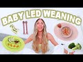 Baby Led Weaning 👶🏼✨ Everything You Need To Know: First Foods, Tips, Must Haves, and Why I LOVE!