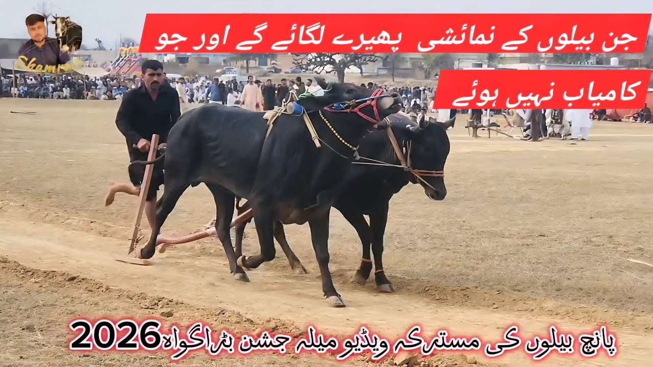 Mela baraghwa 2026 | 5 jog ki makamal video | shamraiz kanaily channel