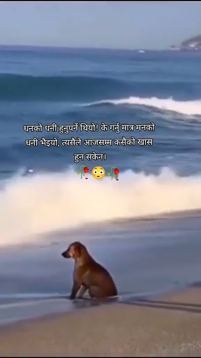 Sad line in nepali // new nepali broken heart status 😱😱😱😪💔 #status