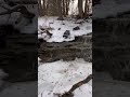 TRAXXAS VS AXIAL SKETCHY LINES! #crawler #axial #snow #rccar #traxxas