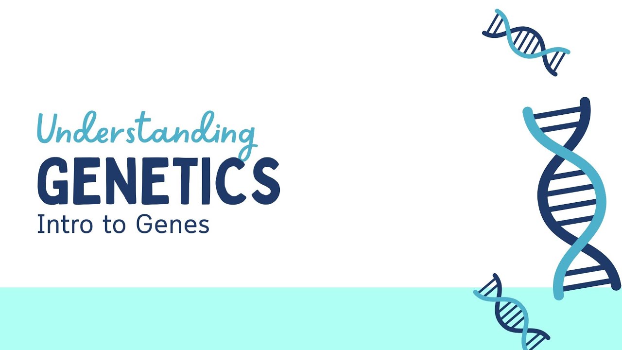 Genetics Introduction | Basics of genetics | Part 1 | IIT JAM/CUETPG
