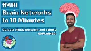 fMRI Brain Networks in 10 Minutes | Default-Mode Network and Others Explained