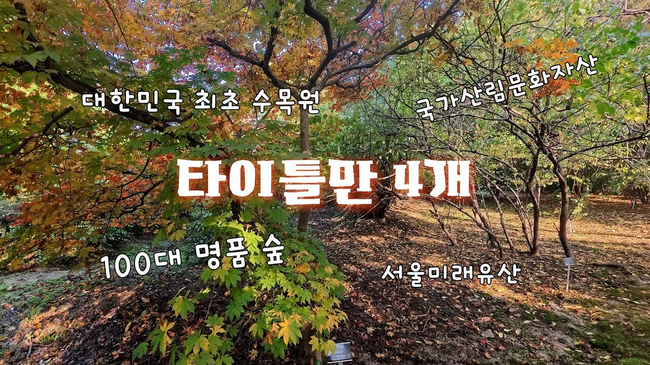 힐링이 필요할때 잠시 멈춤_대한민국 최초 수목원, 100대 명품 숲_홍릉숲 | 대중교통 당일치기 여행 | travelkorea | seoultrip