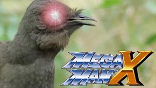 New Species of Birdo Spotted in Mega Man X