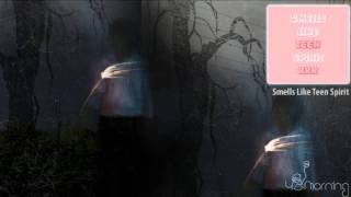 Heinali and Matt Finney - Smells Like Teen Spirit