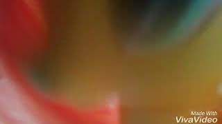 [PMV]mlp video music my cake  toy version