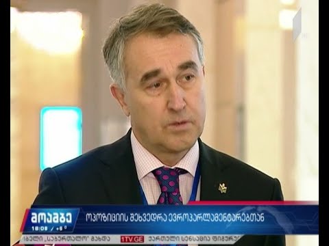 შეხვედრა ოპოზიციასთან - ევროპარლამენტარების შეფასება
