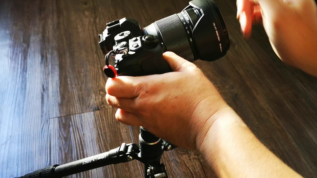 Leofoto MBC-20 ballhead.