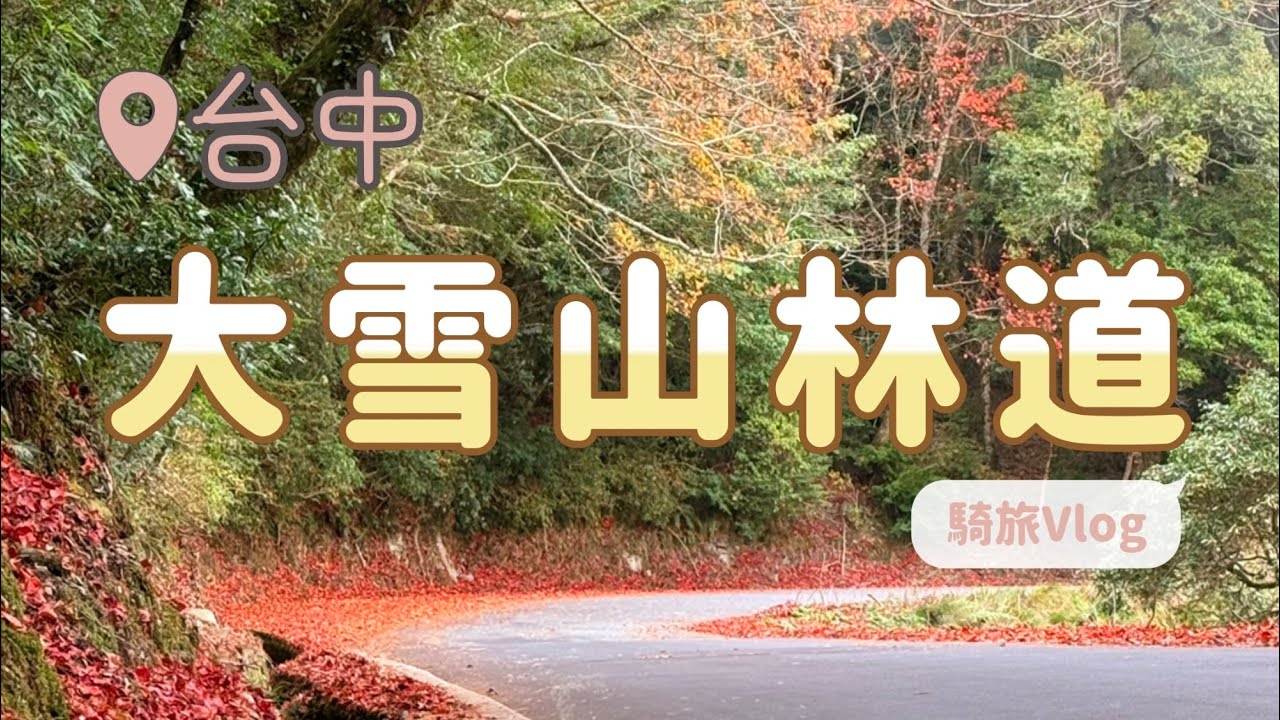 機車騎行Vlog｜台中｜大雪山林道
