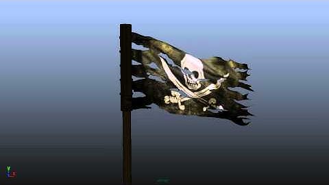 The Pirate flag