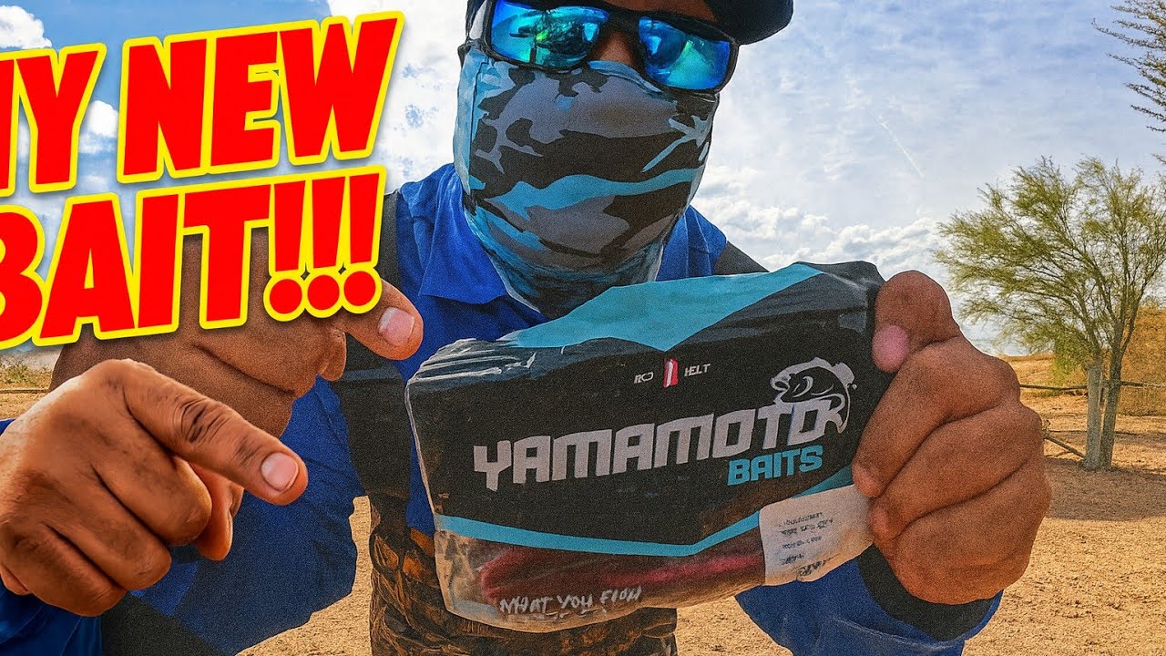FALL BASS FISHING WITH ONLY SENKOS!