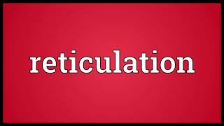 Reticulation Meaning