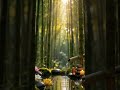 Step Into This Zen Garden 🌿 Bamboo Spa Music &amp; Water Sounds for Sleep