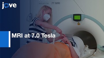 MRI at 7.0 Tesla for Multiple Sclerosis | Protocol Preview