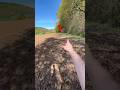 Хорошая находка! #золото #metaldetecting #shortvideo #коп #поиск #metaldetector #клад #монеты #coin