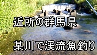 近所の群馬県某川で渓流魚釣り - 魚を捌いたらなにか出てきた