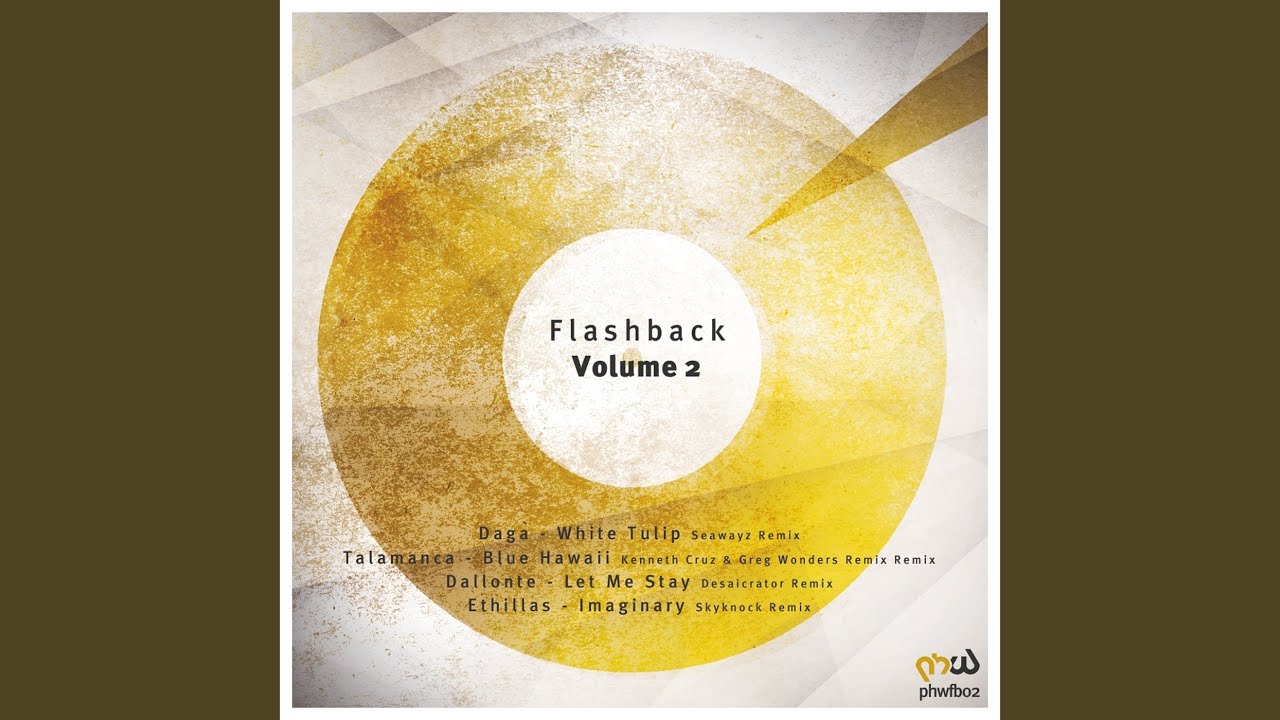 Imaginary (Skyknock Remix)