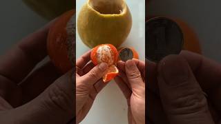 تحدي إخفاء العملة! 🍊🍉