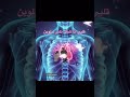 قلبي اذا شاف ناس حلوه رياكشنات  قلبي