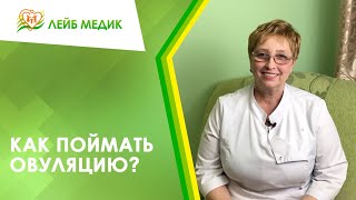 🔎📅 Как поймать овуляцию?