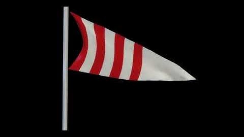 3D Flag Animation Test 2