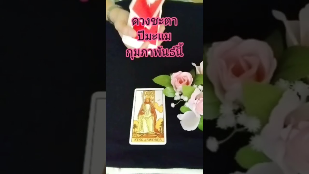 ปีมะแม ดวงชะตา เดือน กุมภาพันธ์นี้ 