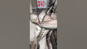 Cá thác lác, hàng vn chất lượng cao👍😊