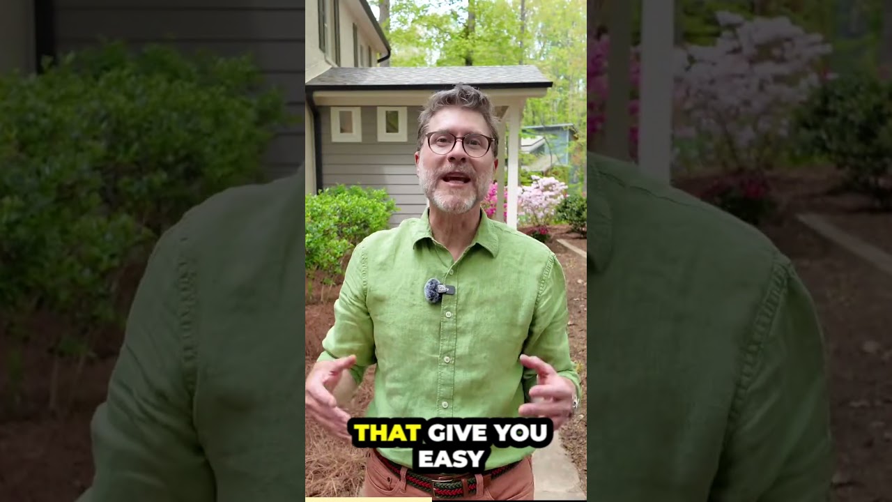 Why West Raleigh is the BEST Part of Raleigh!