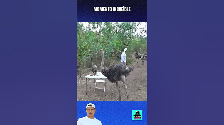 MOMENTAZO INCREÍBLE EN EL SANTUARIO DE FRANK💙🥰  #twitchyoutubemoments