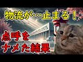 【猫ミーム】日本郵便の大崩壊！原因は“点呼”だった！？物流が止まる日