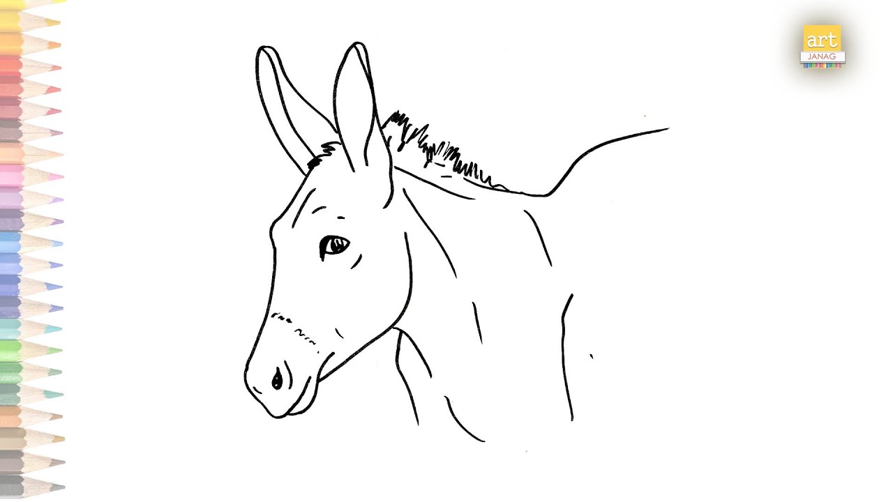 Donkey face drawing | How to draw Donkey face step by step | Drawing  tutorials | art janag | #art - YouTube