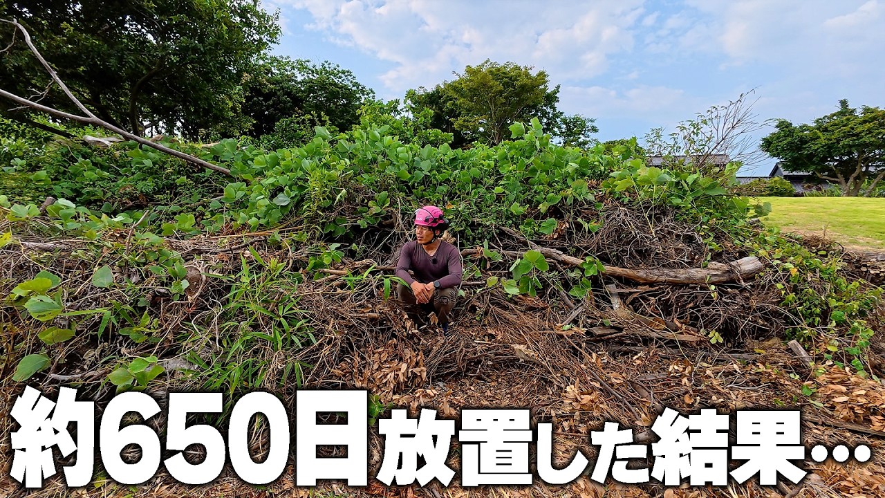 True story] The dark side of a villa that was abandoned for about