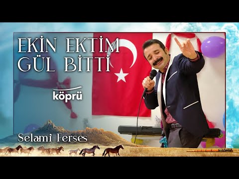 Ekin Ektim Gül Bitti - Selami Ferses [ Gönül Dağı Dizi Müzikleri ⛰ © 2022 Köprü ]