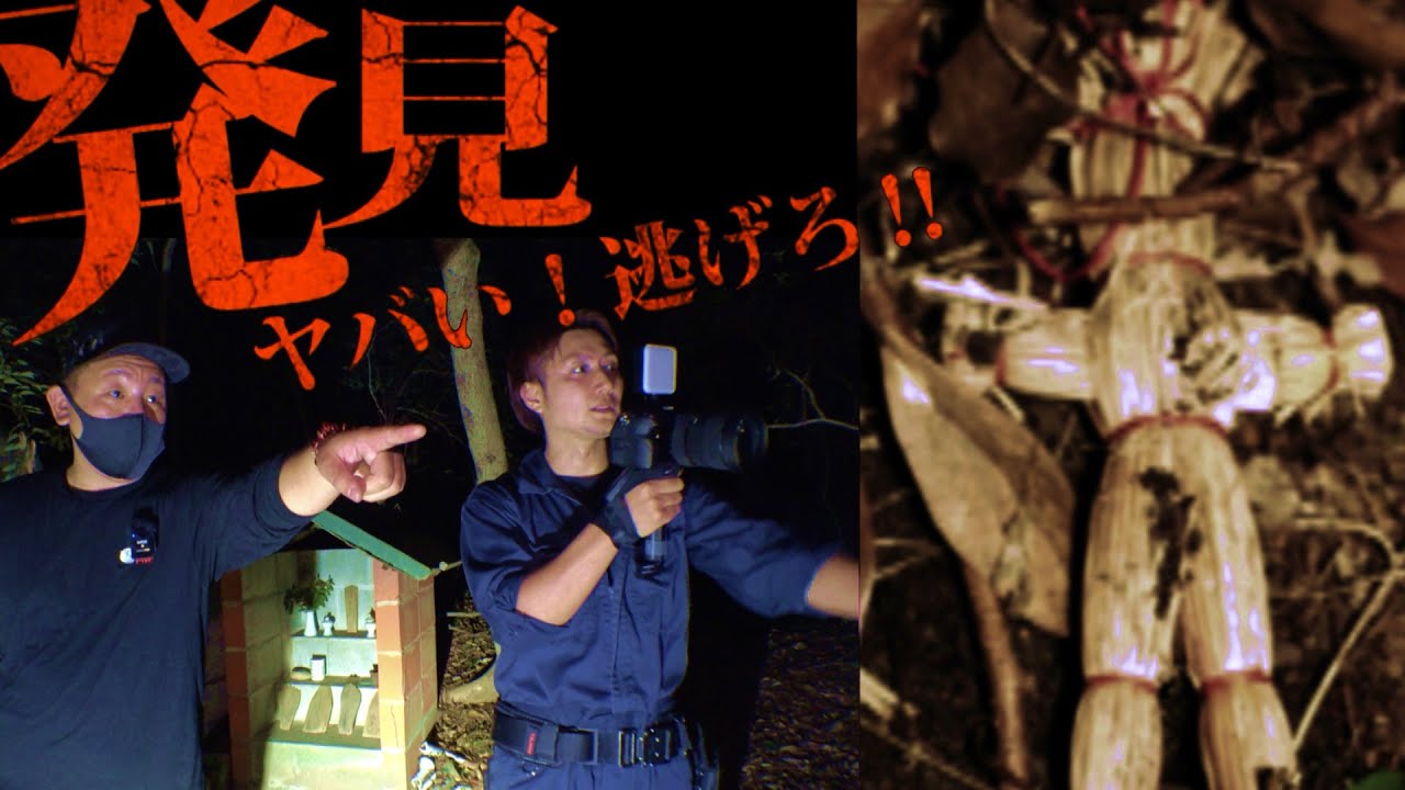 【後編】こっちに向かって来た‼︎危険を感じてマジで逃げた一部始終がこちら