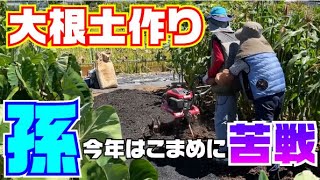 【大根土作り】小学6年生の孫と一緒で、いつも以上に楽しいひろちゃん