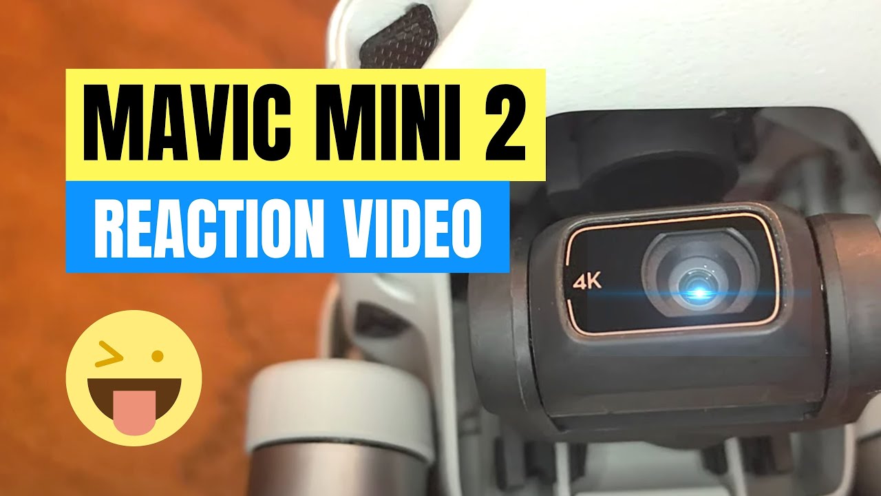 Mavic Mini 2 Unboxing and Specs Confirmed