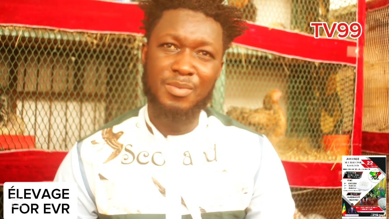 TV99 DIARRA ÉLEVEUR ET SANÉ ÉLEVEUR (JOURNÉE NATIONALE DE  ÉLEVAGE)