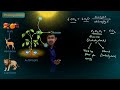 Life Process | Nutrition, Mode of Nutrition and Photosynthesis | CBSE Class 10 Science | Biology