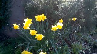 WP 20140309 010